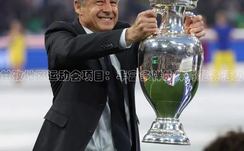 天富娱乐注册百度翻译App甘孜地区运动会项目：丰富多样的体育竞赛活动