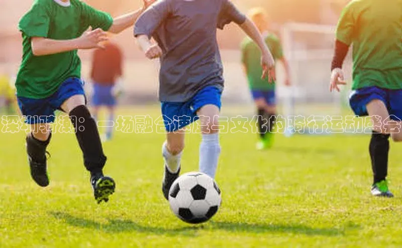 深圳骑潮：一场融合速度与文化的骑行运动盛会