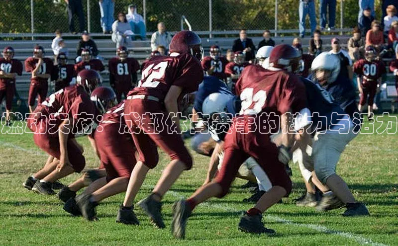 燃动天府：成都体育赛事的魅力与活力