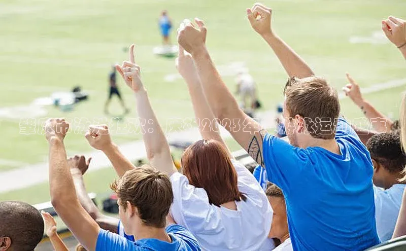 肇庆市泳池狂欢：庆祝2023年度游泳运动盛事