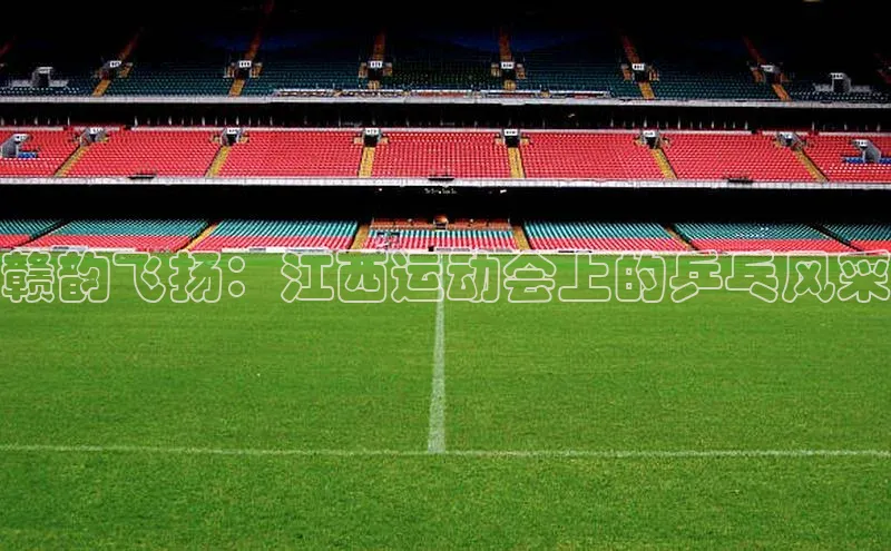 赣韵飞扬：江西运动会上的乒乓风采