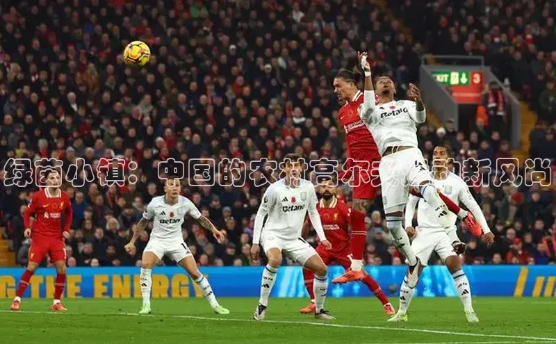 绿茵小镇：中国的农村高尔夫运动新风尚