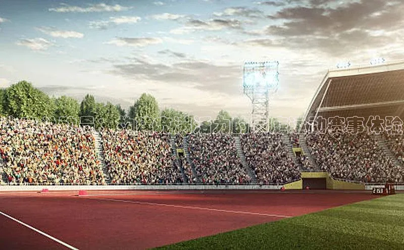 全家总动员：构建充满活力的家庭运动赛事体验