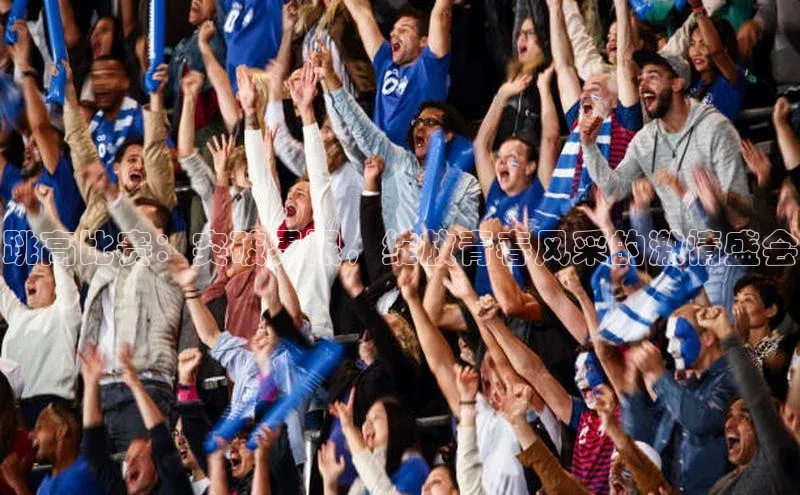 跳高比赛：突破界限，绽放青春风采的激情盛会